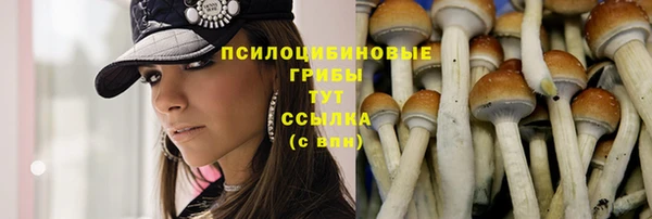 каннабис Алексеевка
