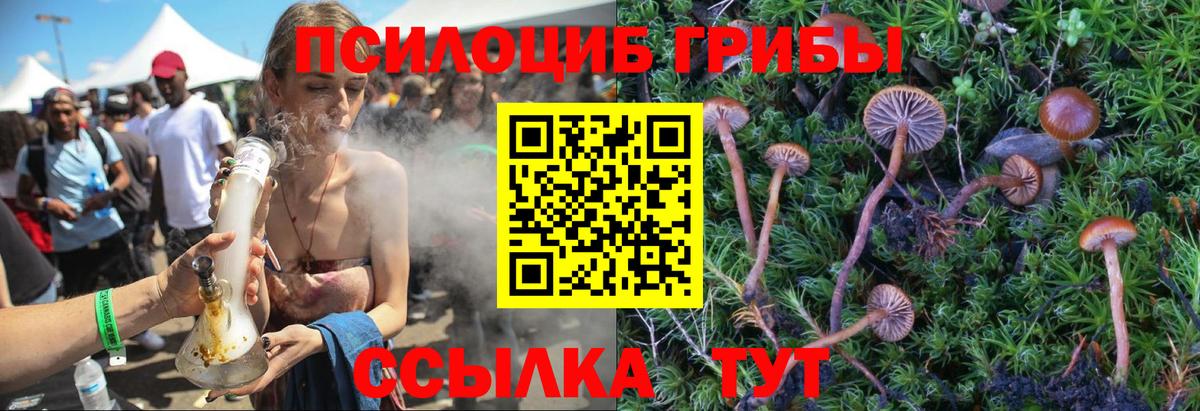Псилоцибиновые грибы GOLDEN TEACHER  Псилоцибиновые грибы мицелий  Вход с VPN  Тобольск 